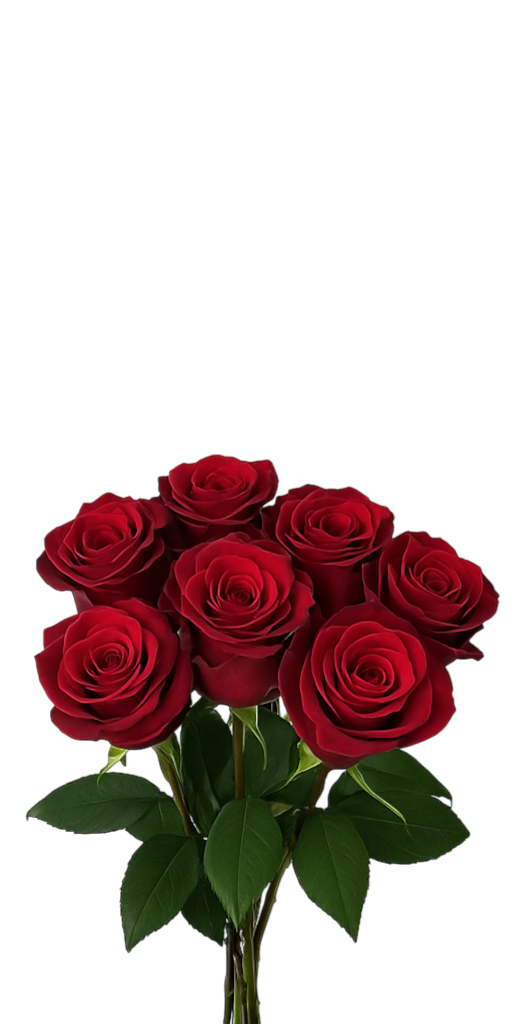 Rose Explorer